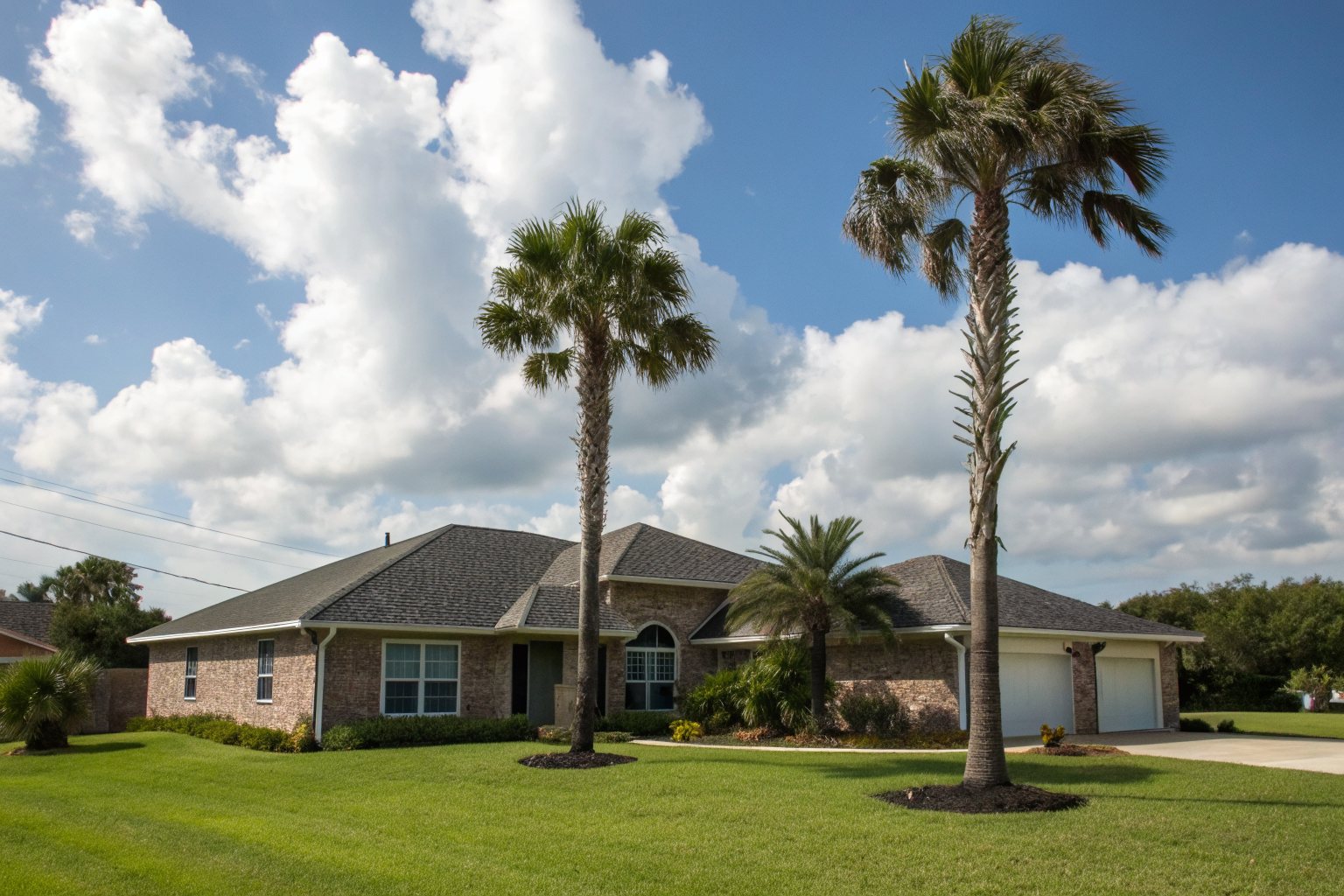 A one-story brick ranch home with a charcoal shingle roof and two tall palm trees under a bright coastal sky